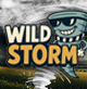 WILD STORM