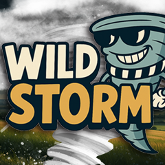 WILD STORM
